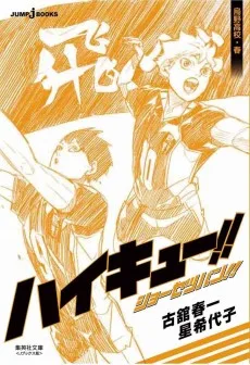 ハイキュー!! ショーセツバン!! 烏野高校