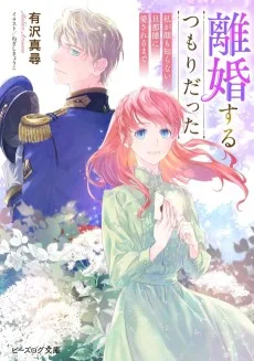 離婚するつもりだった。