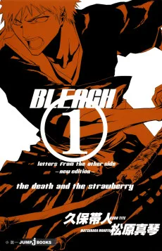 BLEACH letters from the other side