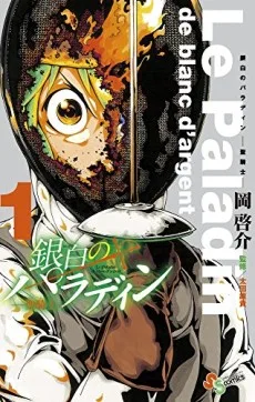 銀白のパラディン -聖騎士-