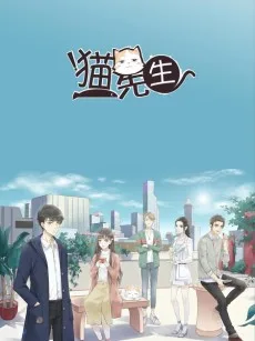 猫先生