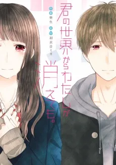 君の世界からわたしが消えても。