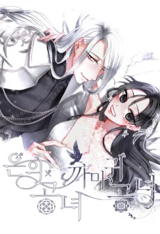 銀の公女、烏の公女