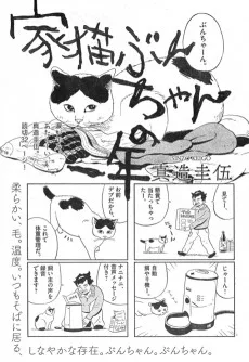 家猫ぶんちゃんの一年