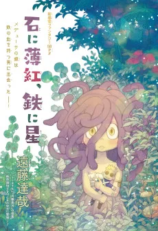 石に薄紅、鉄に星
