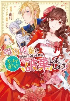 婚約破棄を持ちかけられて十数年、そこまで言うなら破棄しましょう！