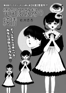 電気家政婦の純情