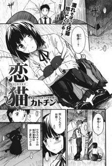 恋猫
