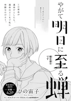 やがて明日に至る蝉