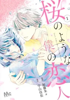 桜のような僕の恋人