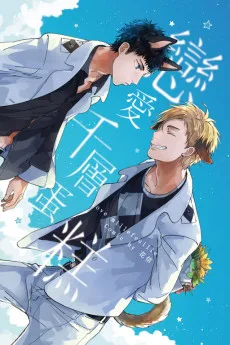 戀愛千層蛋糕