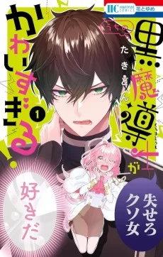 うちの黒魔導士がかわいすぎる!