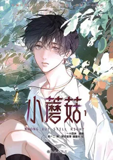 小蘑菇