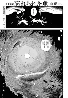 忘れられた魚