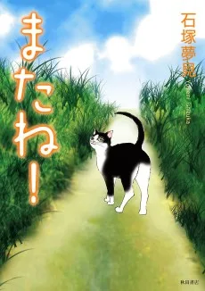 またねこ!