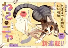 ねこのニヤ
