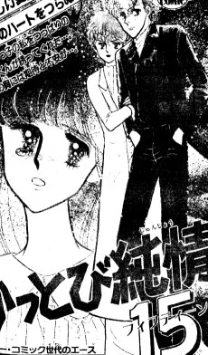 かっとび純情１５