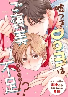 嘘つきDomはご褒美不足!?