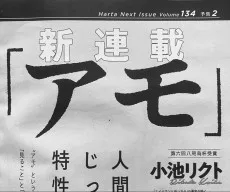 アモ