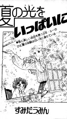 夏の光をいっぱいに