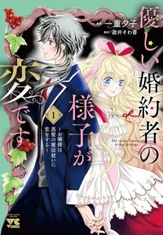 優しい婚約者の様子が変です〜お嬢様は黒髪の魔法使いに恋をする〜