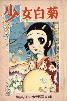 少女白菊