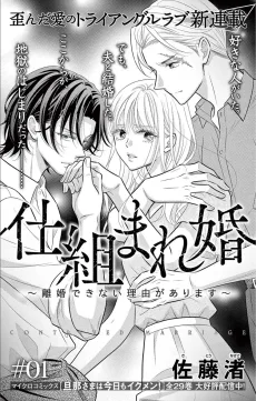 仕組まれ婚～離婚できない理由があります～