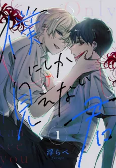 僕にしか見えない君