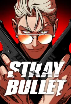 Stray Bullet