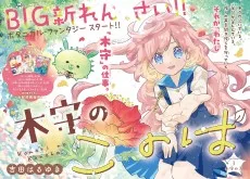 木守のこのは