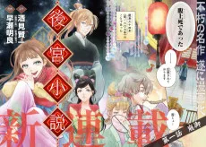 後宮小説