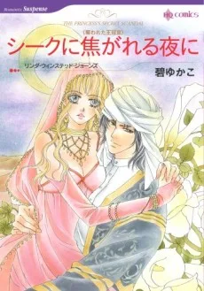 シークに焦がれる夜に