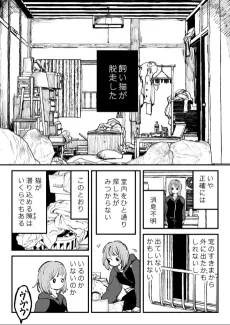 いない猫の話