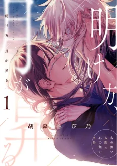 明け方、月が昇る
