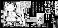 やどやのお犬さま