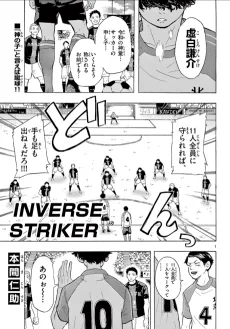 INVERSE STRIKER