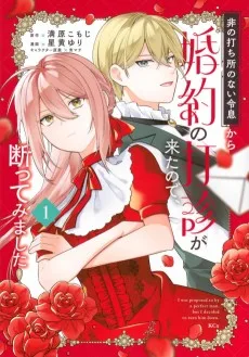 非の打ち所のない令息から婚約の打診が来たので、断ってみました