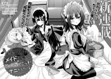 好きだった子をメイドにしたら、俺の部屋でこっそりナニかしている