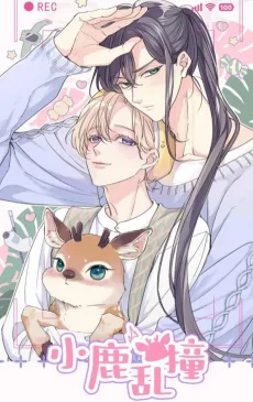 小鹿乱撞
