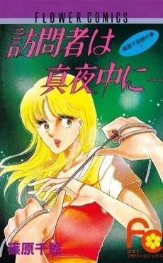 訪問者は真夜中に