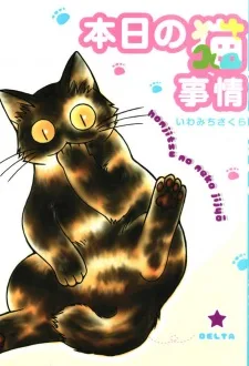 本日の猫事情