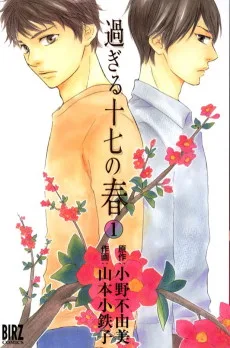 過ぎる十七の春