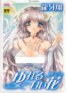 ゆれる白い花