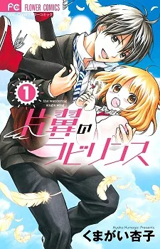 片翼のラビリンス