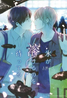 氷が溶けるのを待ってる