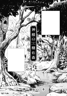 神様の棲む森