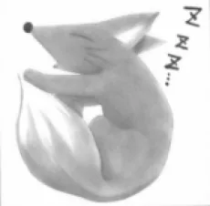 矢間野狐 