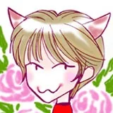 和泉桂