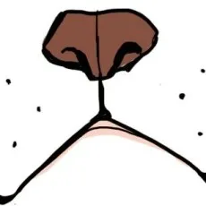 青桐ナツ 