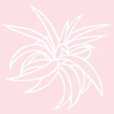上田裕